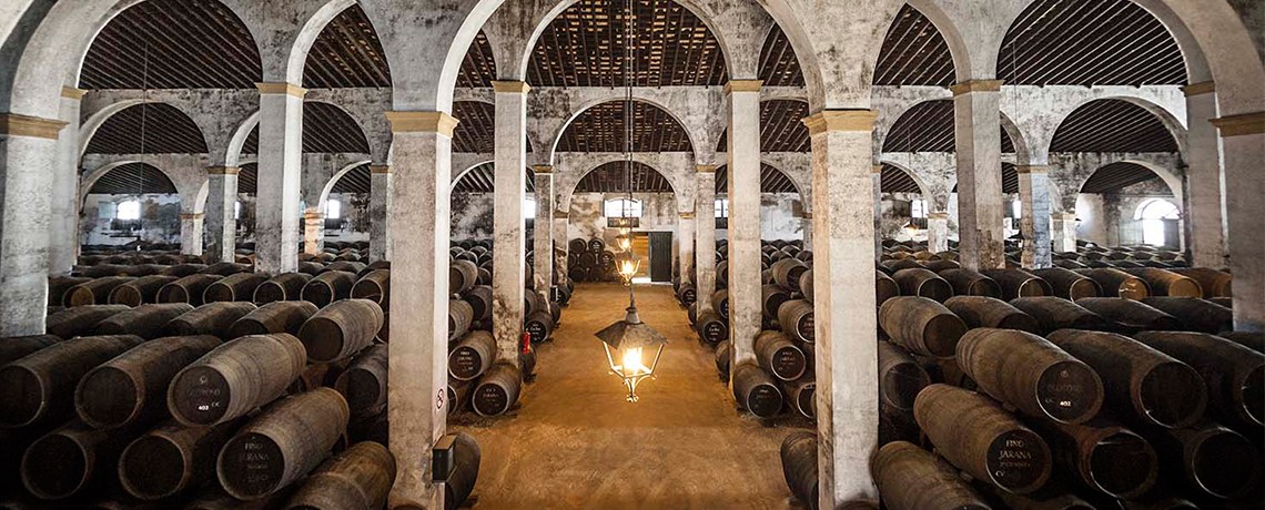 Bodegas Gonzalez Byass, Jerez 